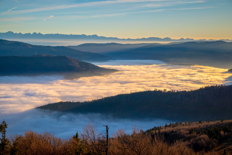 Widok z Mogielicy w Beskidzie Wyspowym na Gorce, Tatry i mgły w dolinach o zachodzie słońca