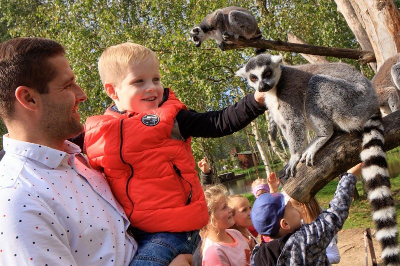Zoo w Dolina Charlotty Resort & SPA