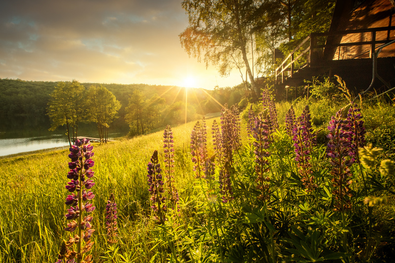 Kaszubska łąka w promieniach zachodzącego słońca