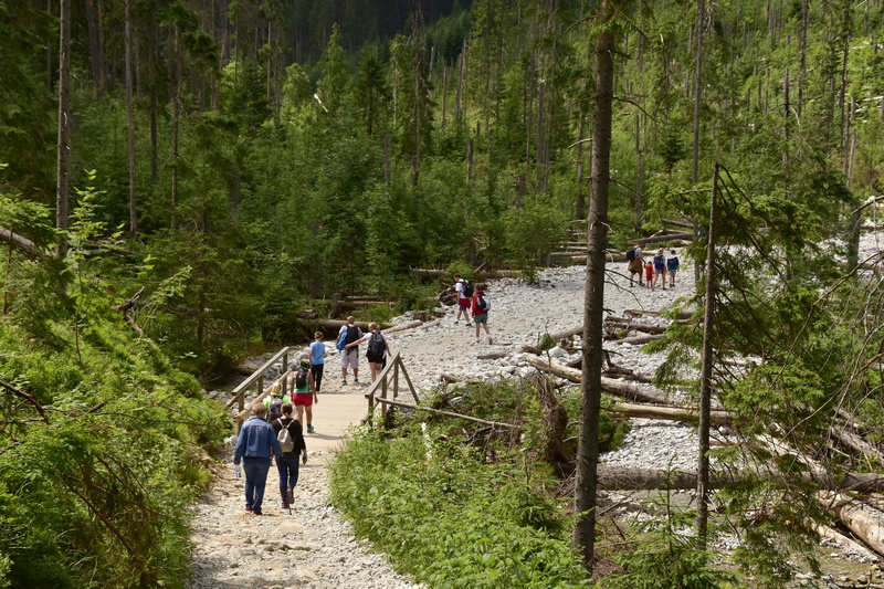 Turyści na szlaku w Tatrach