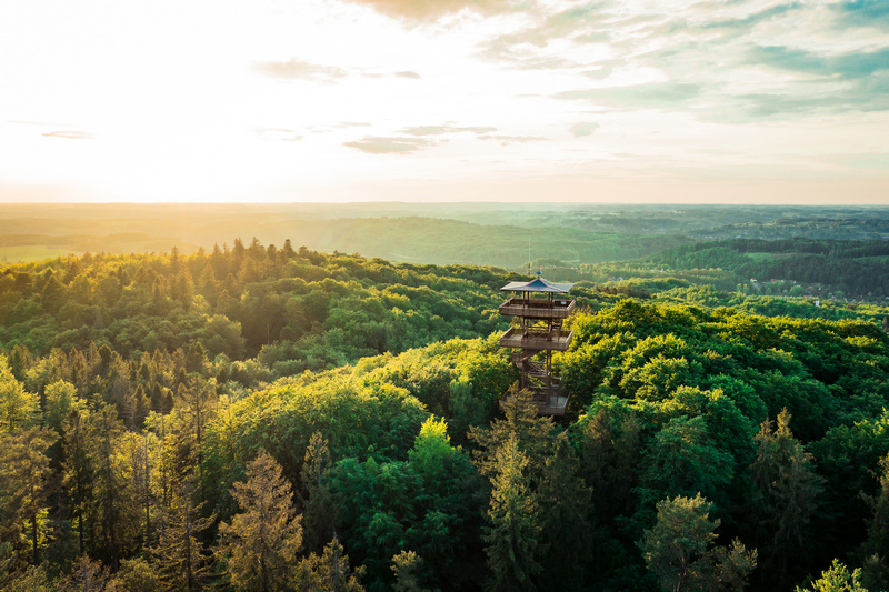 Wieża widokowa na Wieżycy