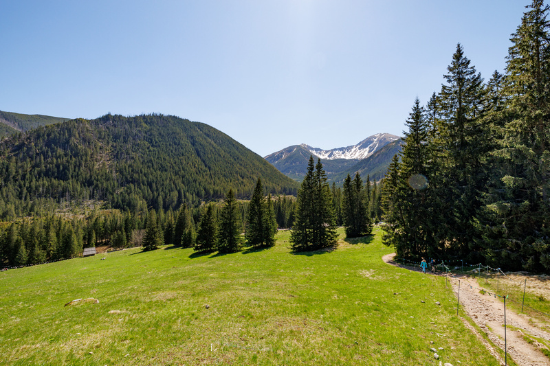 Wiosenna Polana Chochołowska z widokiem ośnieżonych gór w tle