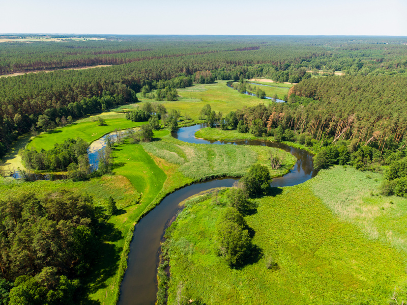 Bory Tucholskie