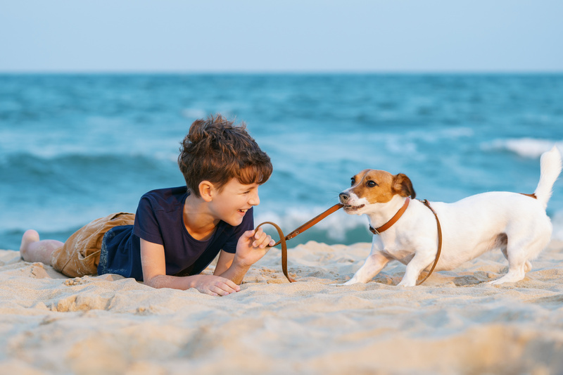 Chłopiec i pies na plaży przyjaznej psom
