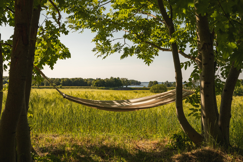 Hamak rozciągnięty pomiędzy dwoma drzewami z polem w tle