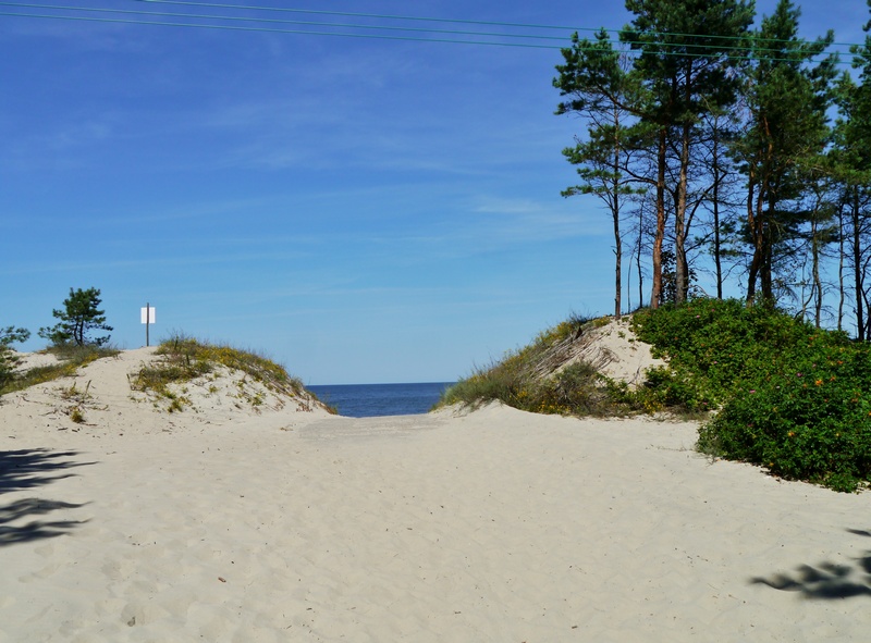 Wejście na plażę w Krynicy Morskiej