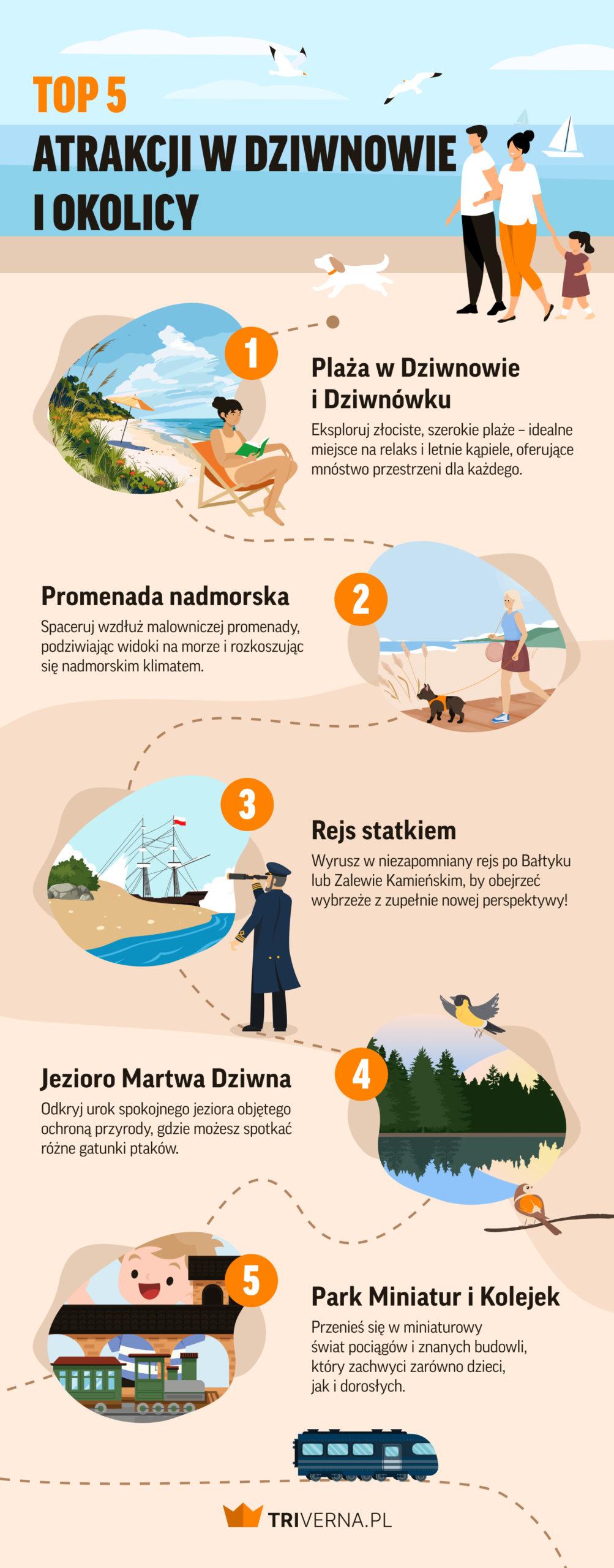 Top 5 atrakcji w Dziwnowie i okolicy - infografika