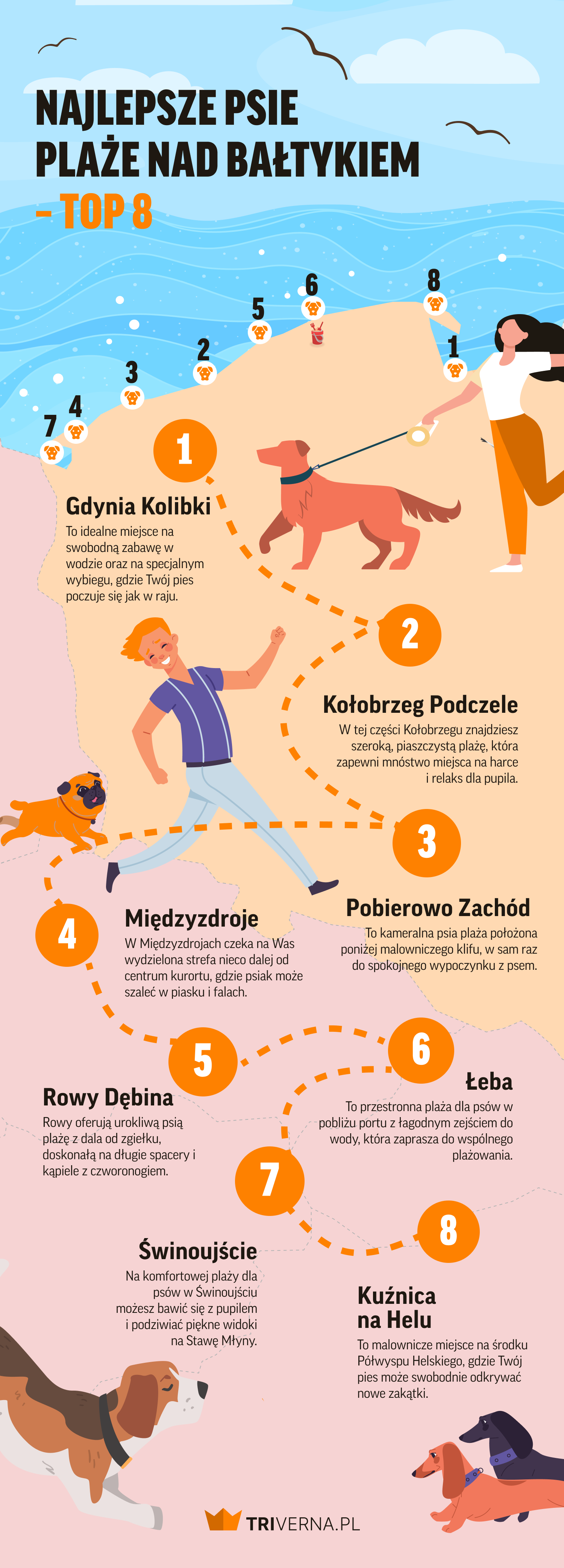 Najlepsze psie plaże nad Bałtykiem - infografika