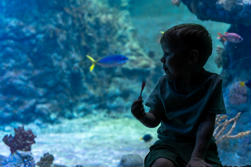 Dziecko w oceanarium