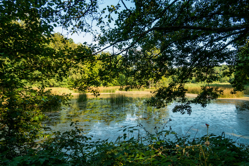 Park Krajobrazowy Dolina Słupi