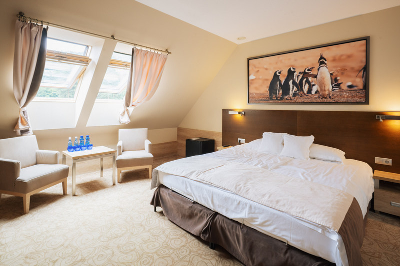 Pokój studio 2+2 w hotelu Czarny Groń