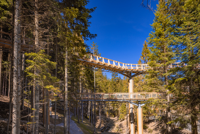 Centrum Przyrodniczo-Edukacyjne Brama w Gorce – ścieżka w koronach drzew