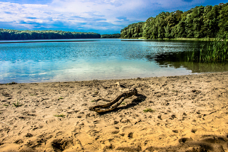 Jezioro Góreckie w Wielkopolskim Parku Narodowym