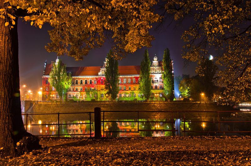 Widok Muzeum Narodowego we Wrocławiu porośniętego kolorowym pnączem jesienią