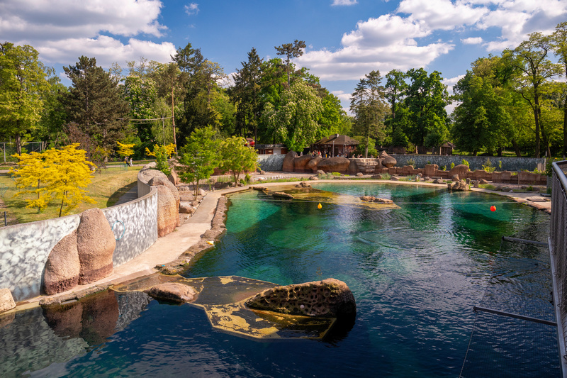 Zoo we Wrocławiu - basen dla pingwinów