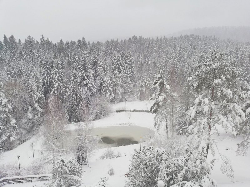 Widok z pokoju w hotelu Perła Bieszczady na sylwestra