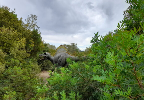 Parki dinozaurów w Polsce: śladami prehistorycznych gigantów