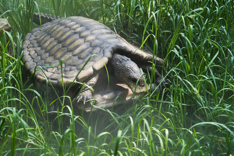 Figura prehistorycznego żółwia w Zatorlandzie