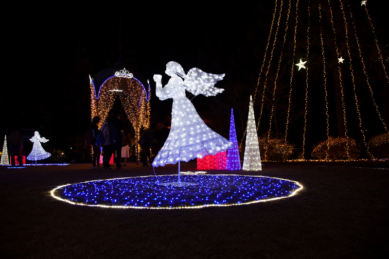 Iluminacja anioł nad jeziorem w ogrodzie światła