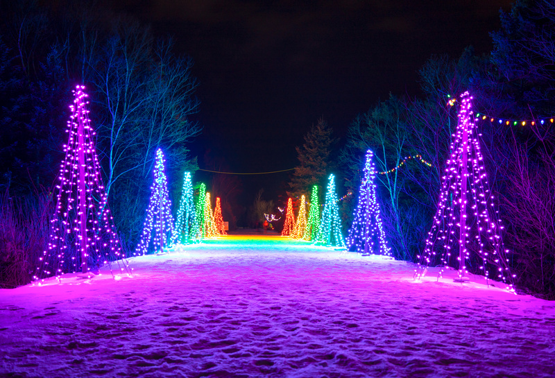 Podświetlane na kolorowo choinki
