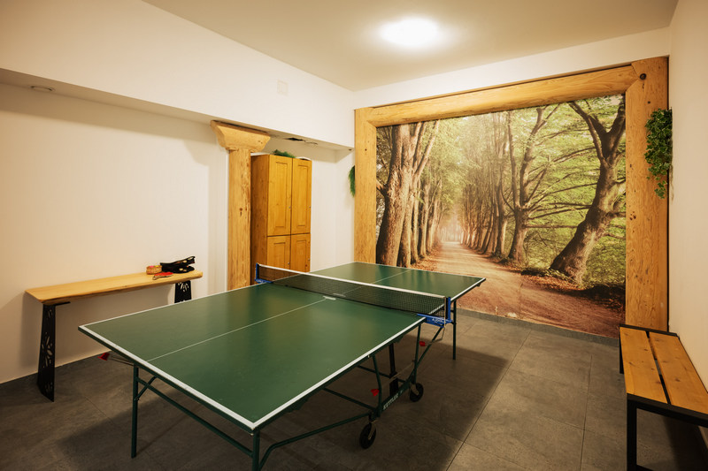 Hotel w Białce Tatrzańskiej ze stołem do ping ponga