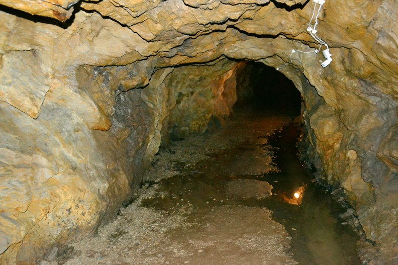 Kompleks Riese - sztolnia Włodarz