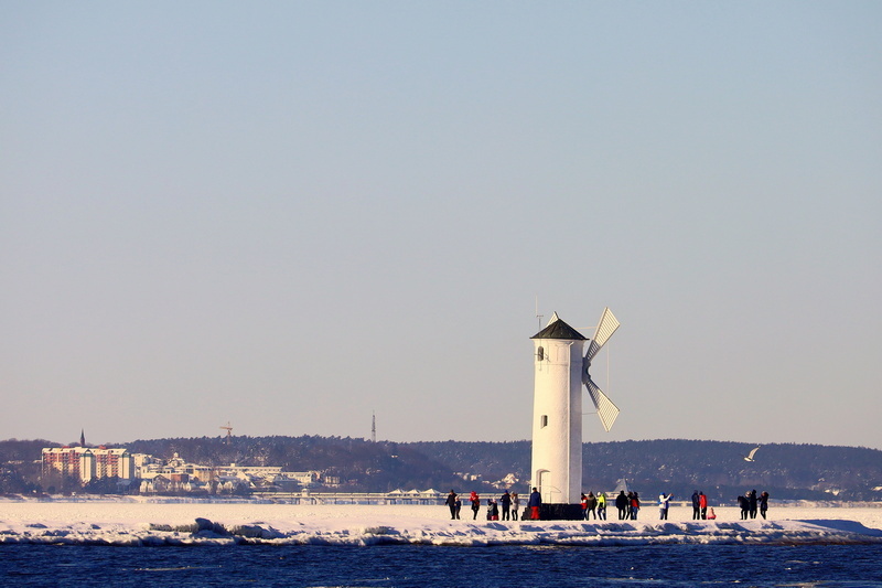 Morsujący mężczyzna tyłem