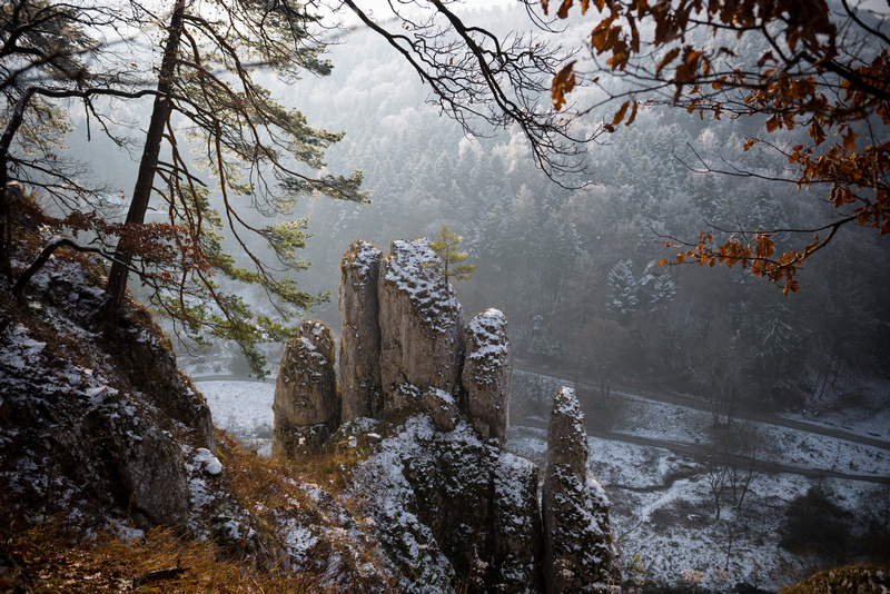Ojcowski Park Narodowy zimą