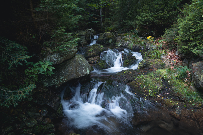 Rzeka Wilczka na zboczach Śnieżnika
