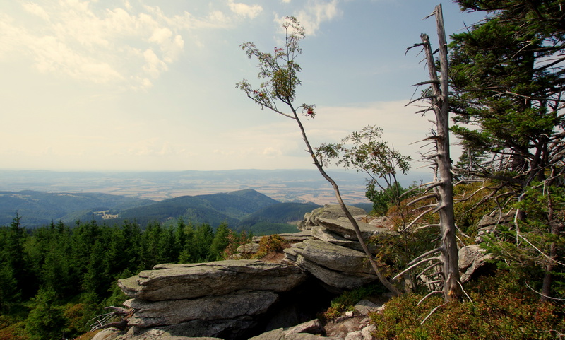 Widok z Masywu Śnieżnika