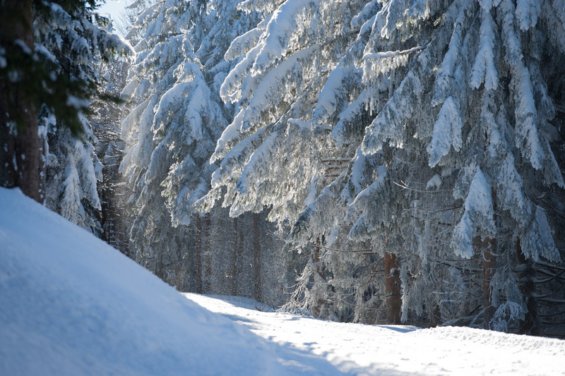  Zimowy szlak w Masywie Śnieżnika