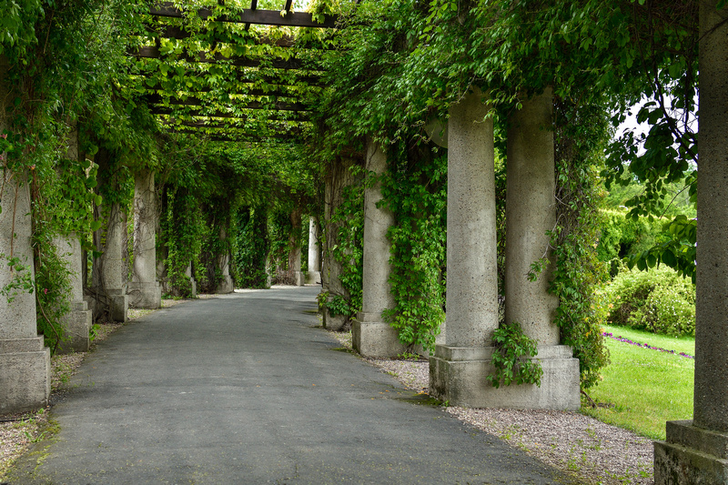 Wrocławska Pergola przy Hali Stulecia