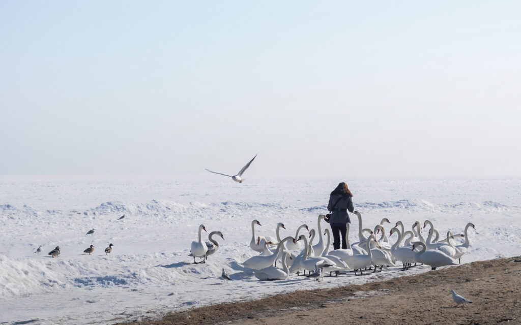 Ferie zimowe nad morzem – gdzie pojechać z dziećmi?