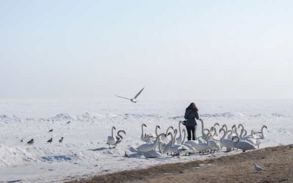 Ferie zimowe nad morzem – gdzie pojechać z dziećmi?