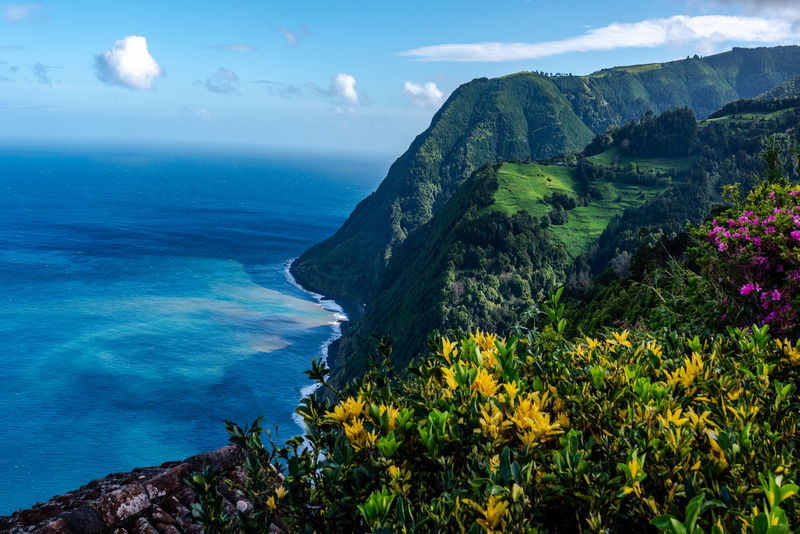 Roślinność na klifie Azorów