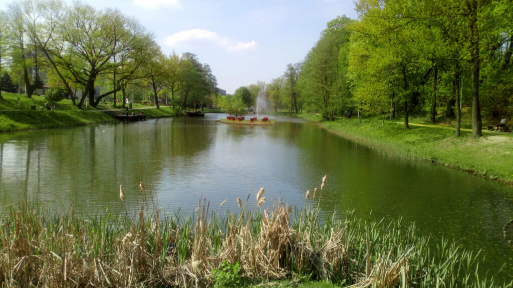 Weekend w Zielonej Górze – wino, relaks i noclegi w mieście winobrania