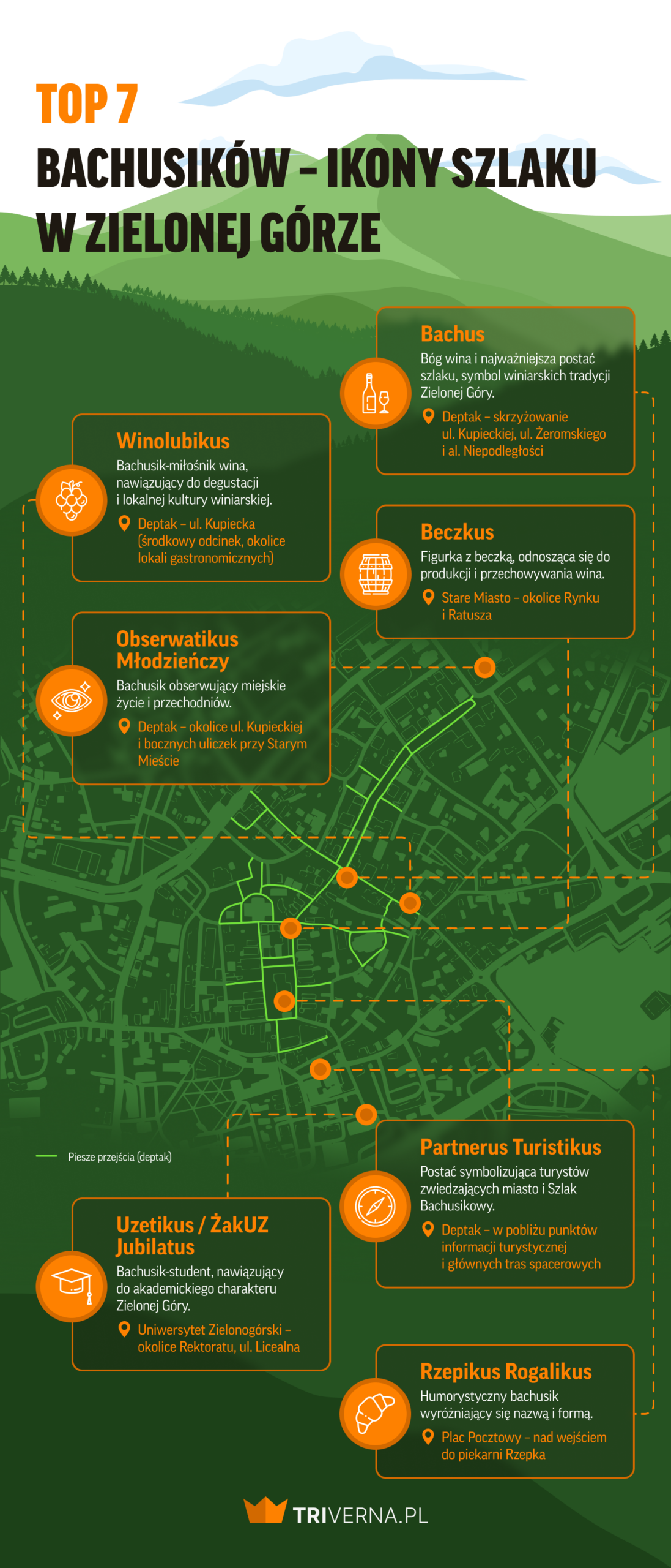 Szlak Bachusików w Zielonej Górze - infografika