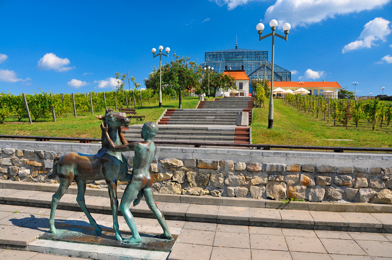 Palmiarnia na Wzgórzu Winnym w Zielonej Górze