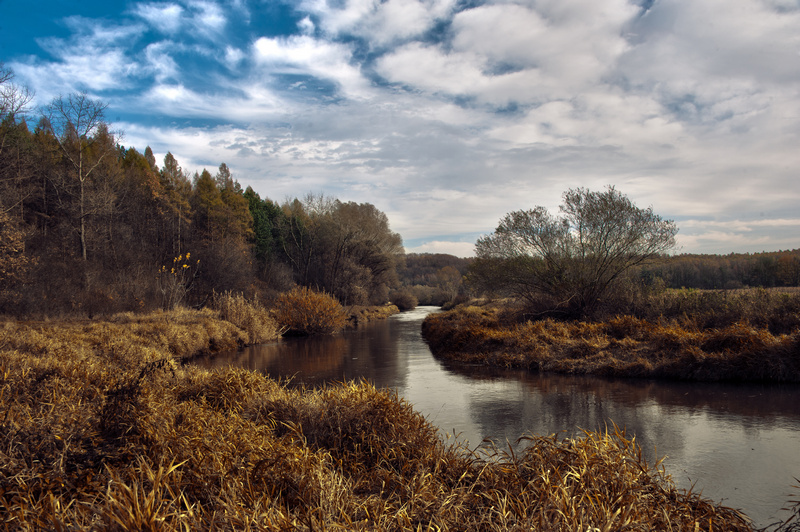 Warta w okolicach Częstochowy