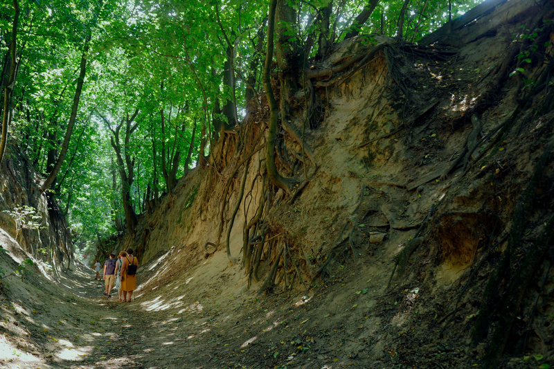 Wąwóz Królowej Jadwigi