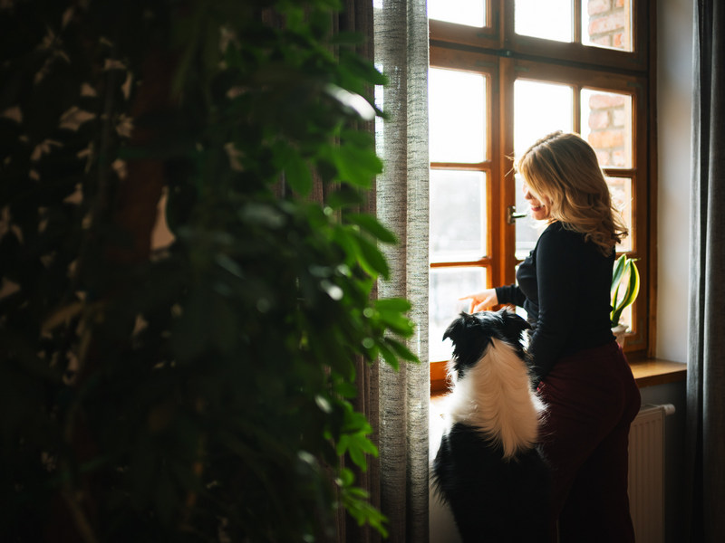 Pies we wnętrzach psiolubnego hotelu Dolina Charlotty