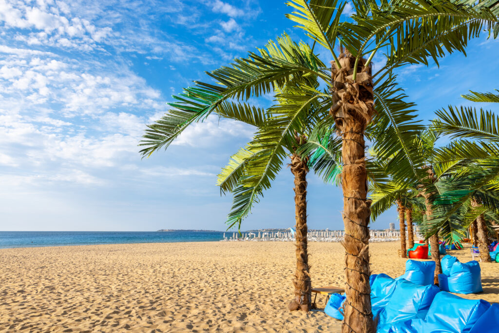 Palmy i niebieskie siedziska na plaży w Słonecznym Brzegu