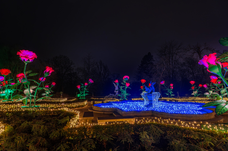 Iluminacje nocą w Wilanowie