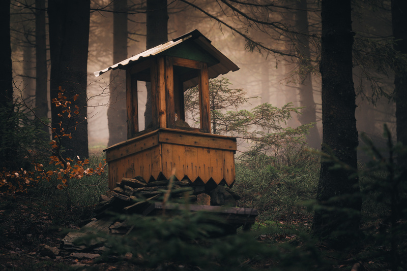 Kapliczka w lesie w Górach Bialskich