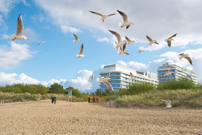 Mewy latające nad plażą w Świnoujściu na tle hoteli