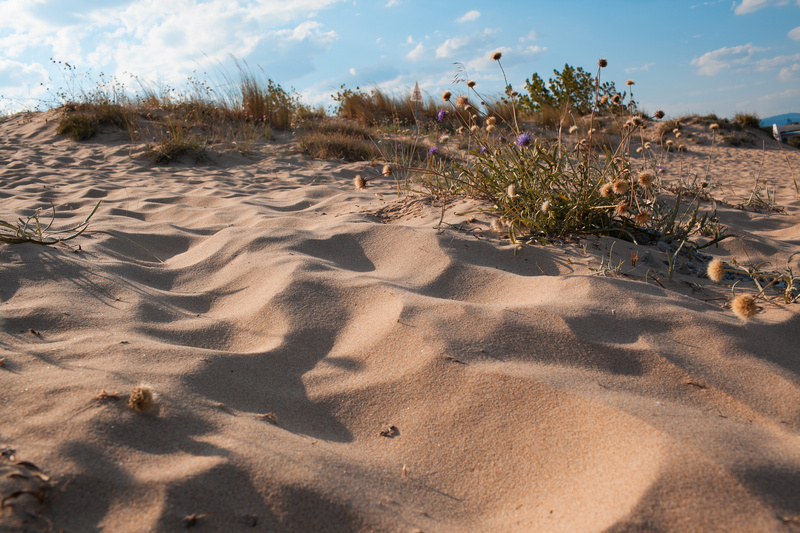 Piasek na wydmach w Bułgarii