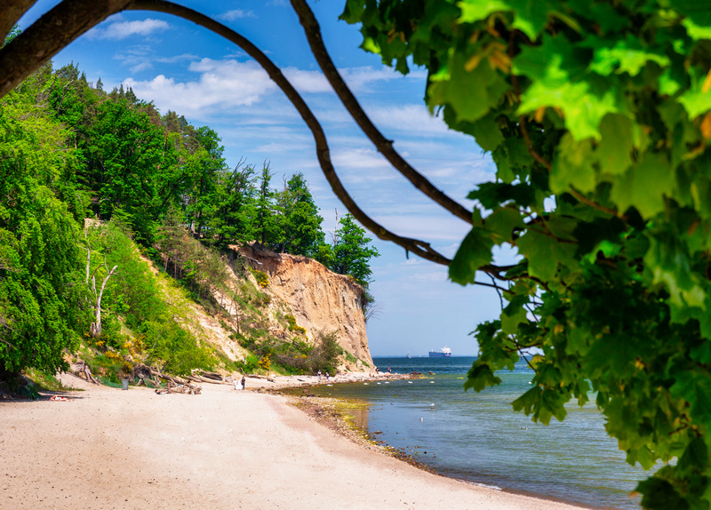 Plaża z Klifem Orłowskim