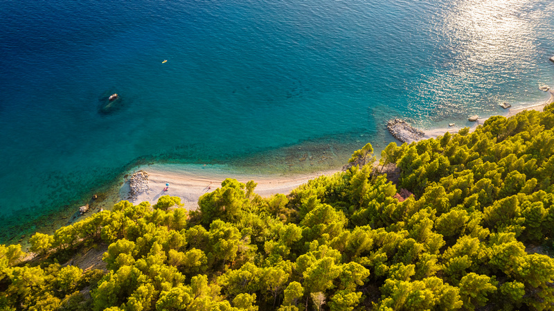 Plaża z sosnami z lotu ptaka