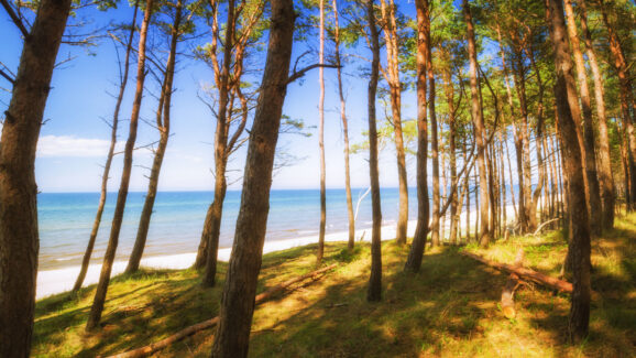 Pogorzelica na wakacje – plaża, atrakcje i pomysły na udany wypoczynek