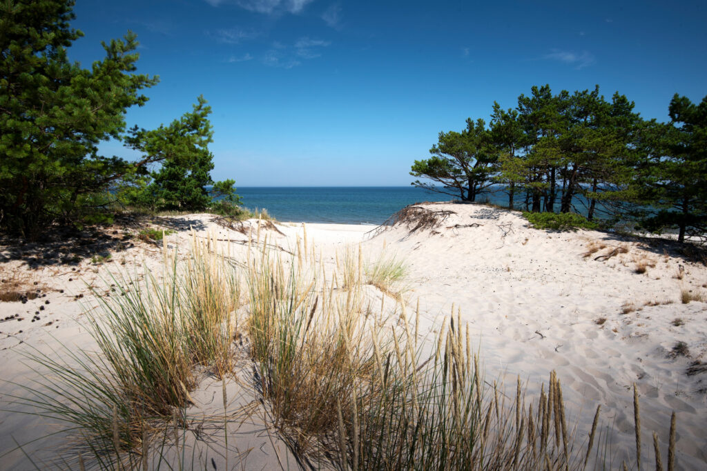 Atrakcje w Chałupach i rejsy po Zatoce – przewodnik po tramwajach wodnych i Water Taxi